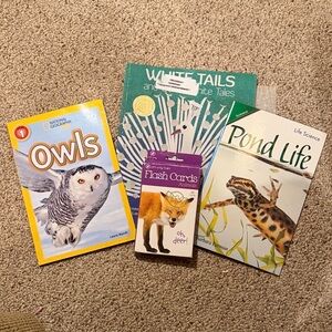 3 Animal books and Animal flashcards